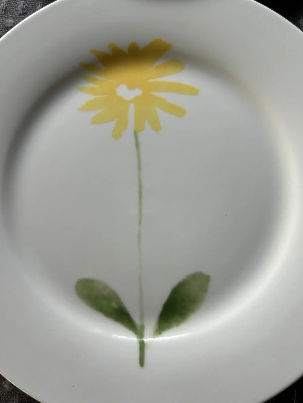 Pier 1 Flower dessert plates